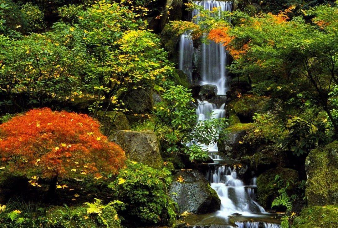 1080x729 Portland Tag wallpaper: Garden Fall Autumn Portland Japanese Nature / iPhone HD Wallpaper Background Download HD Wallpaper (Desktop Background / Android / iPhone) (1080p, 4k) (1080x729) (2021)
