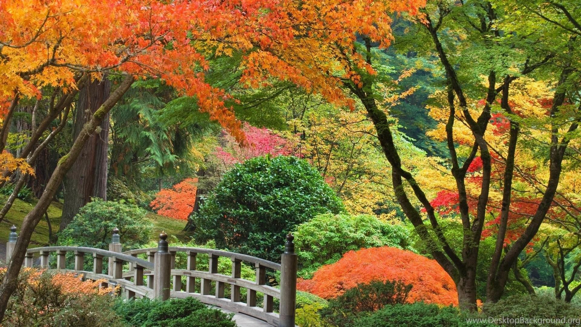 1920x1080 Oregon Fall Wallpaper, HD Oregon Fall Background