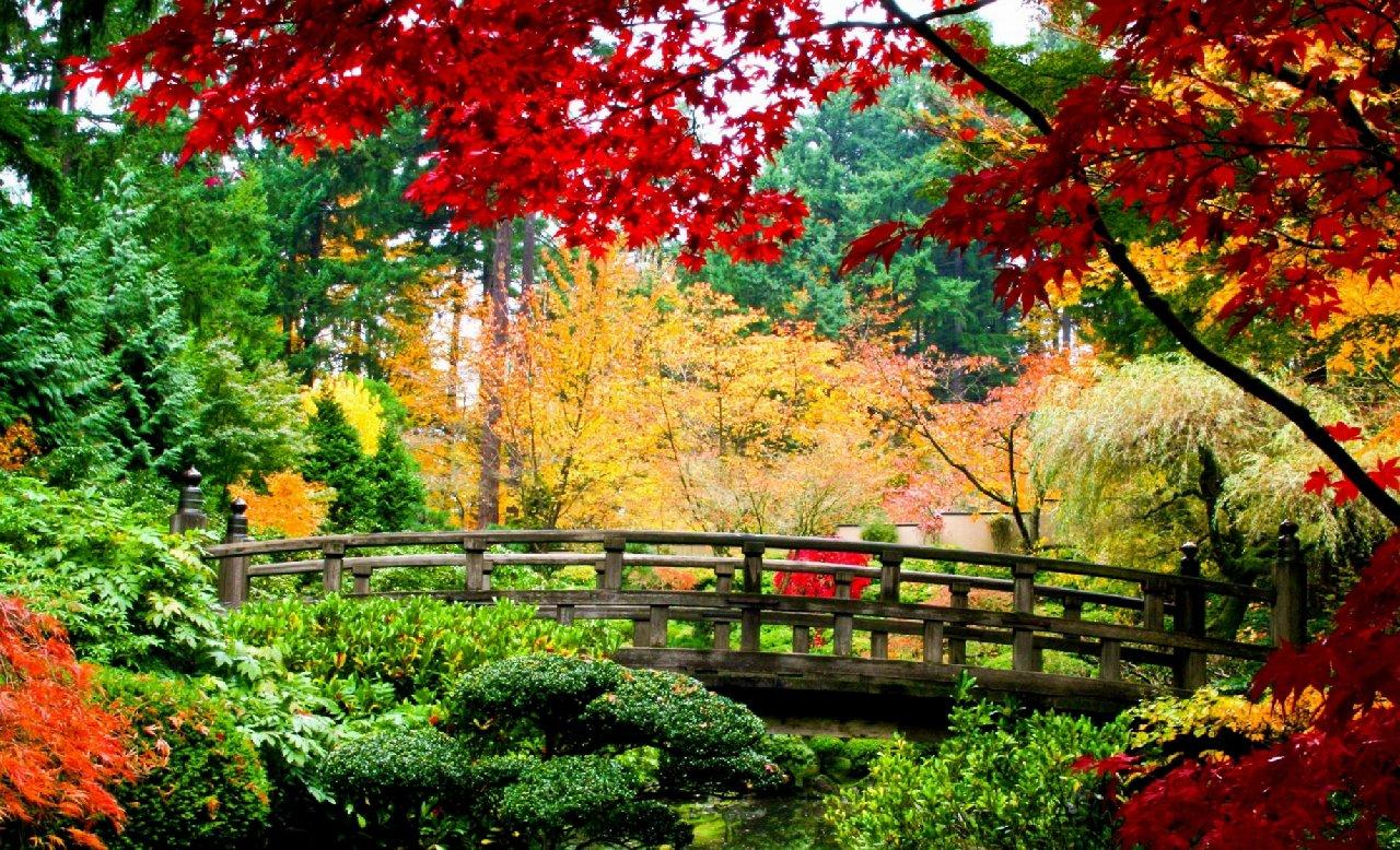 1280x778 World Architecture Bridges Asian Oriental Garden Fall Autumn Colors Seasons Leaves Stream Plants Rivers Desktop Background Wallpaper