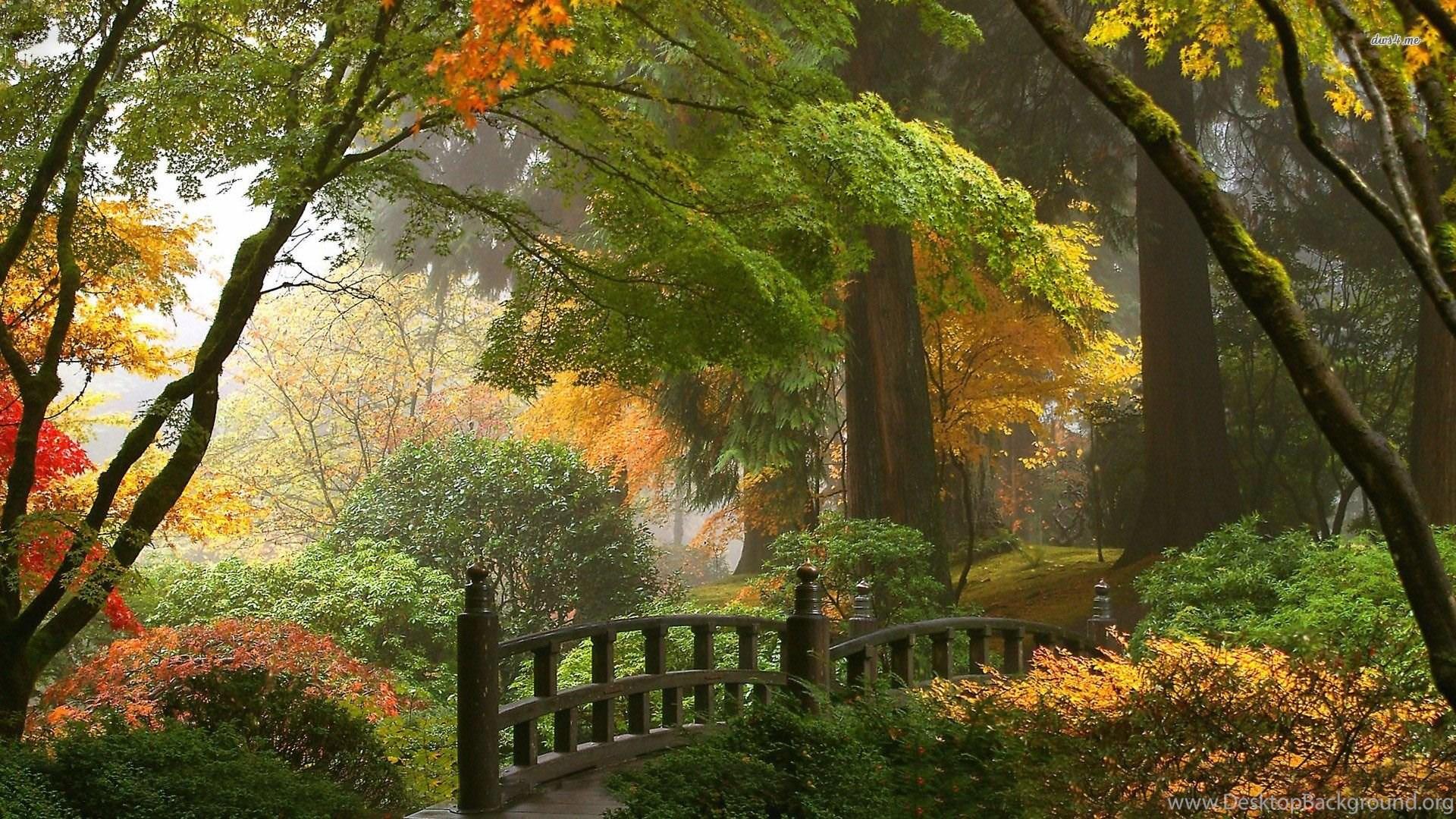 1920x1080 Gardens Wallpaper: Japanese Garden Wallpaper Nature Wallpaper. Desktop Background