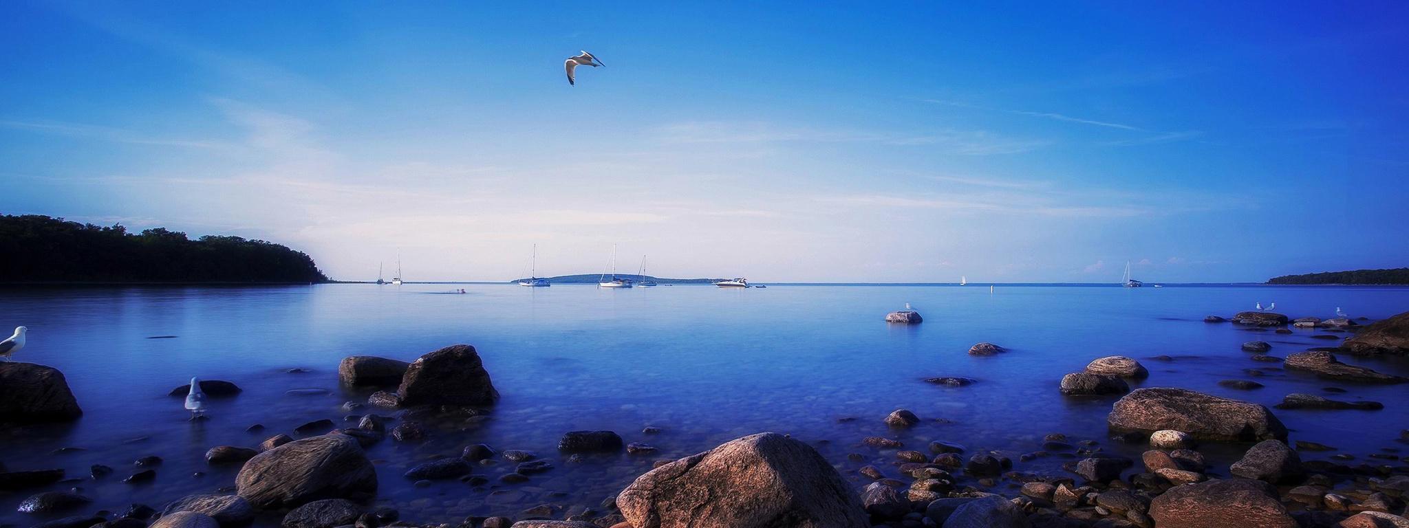 2048x768 The wallpaper of the seagull flying over the sky