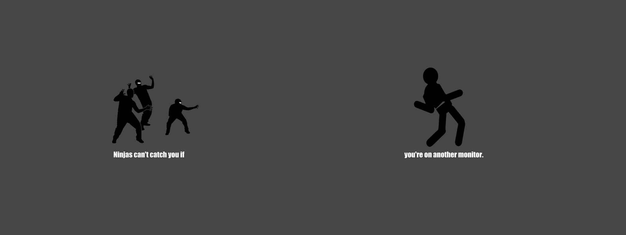 2048x768 Funny Dual Screen Wallpaper