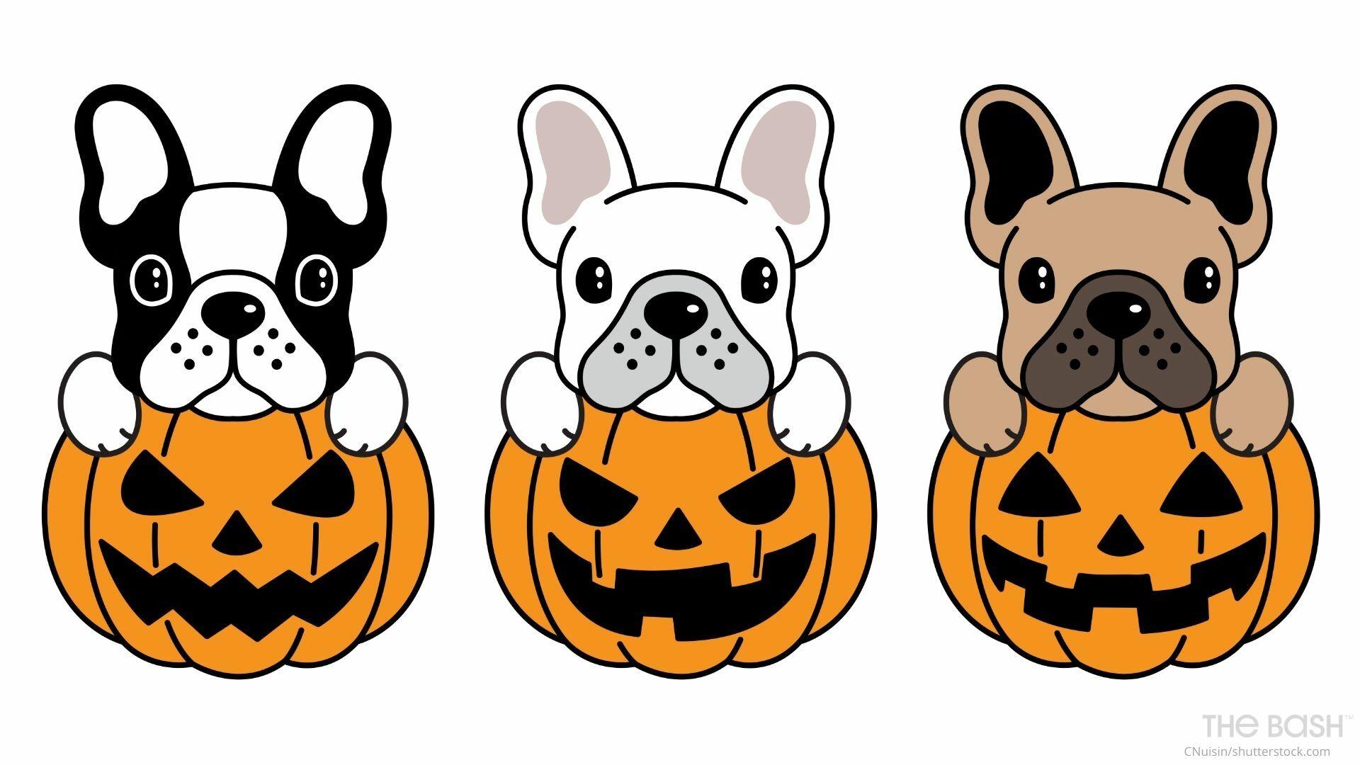 1920x1080 Halloween Zoom Background