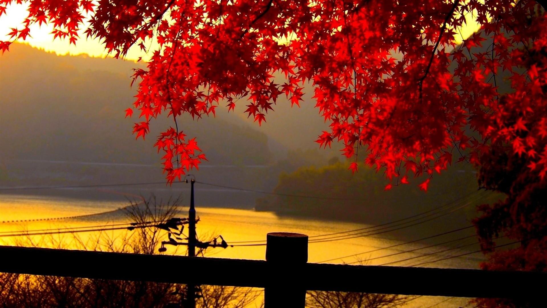 1920x1080 Fall Wallpaper HD 1920×1080