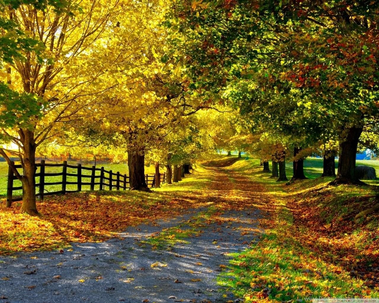 1280x1024 The Most Beautiful Autumn HD Desktop Wallpaper : High Definition. Desktop Background