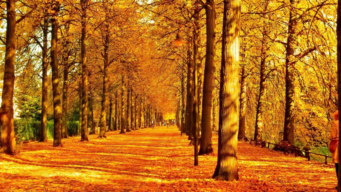 1366x768 Awesome Fall Free Wallpaper Id
