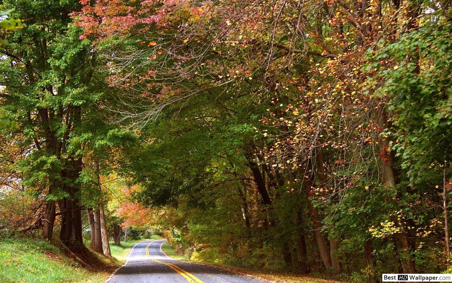 1440x900 Autumn Wallpaper Full HD. Desktop wallpaper, Wallpaper, Full hd