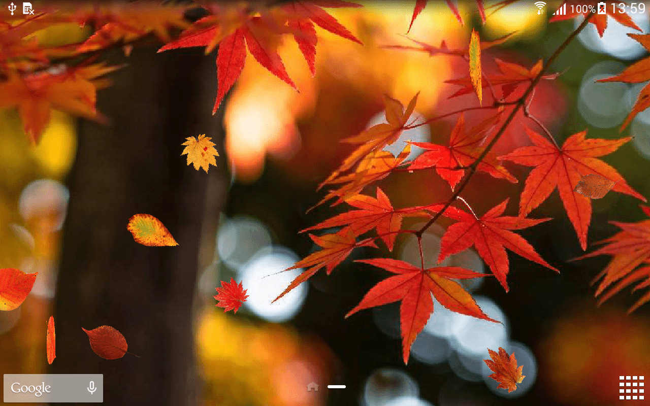 1280x800 Autumn Wallpaper 1.0.7 Download Android APK