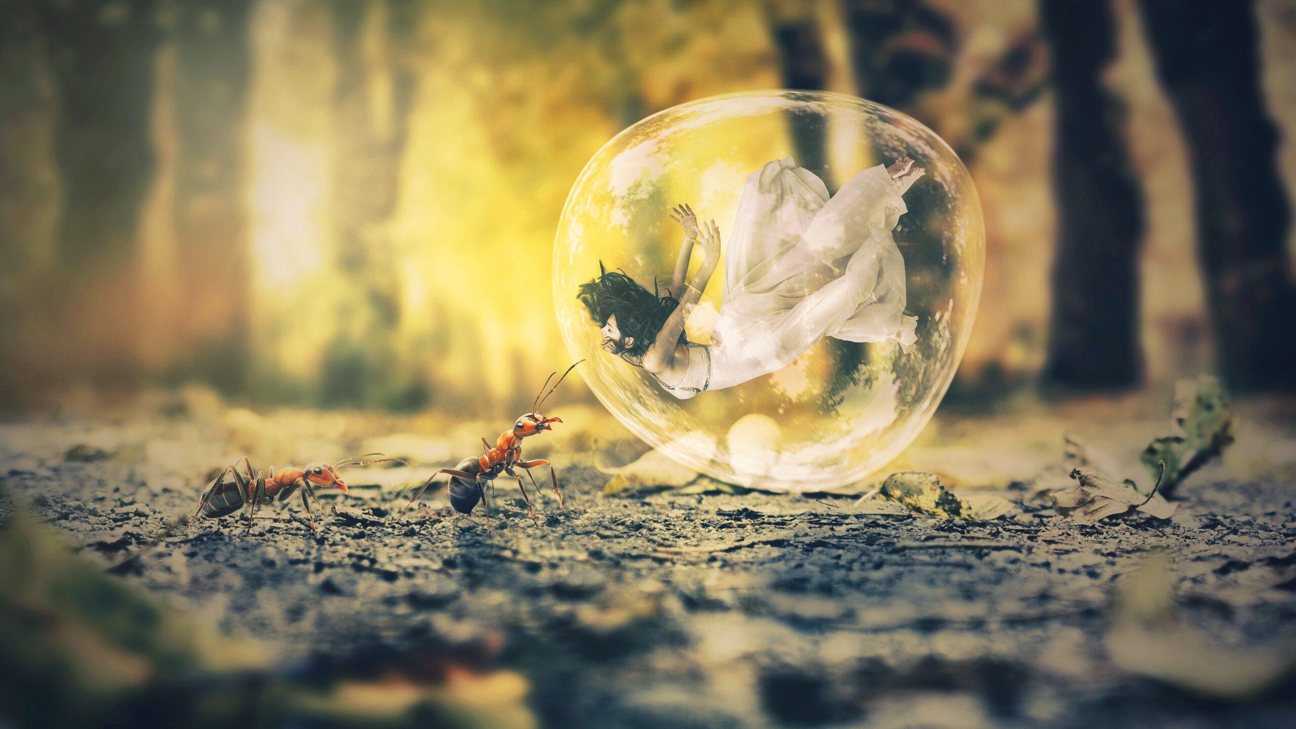 2560x1440 Girl 3840×2160 Bubble Ants Autumn Dream 4k