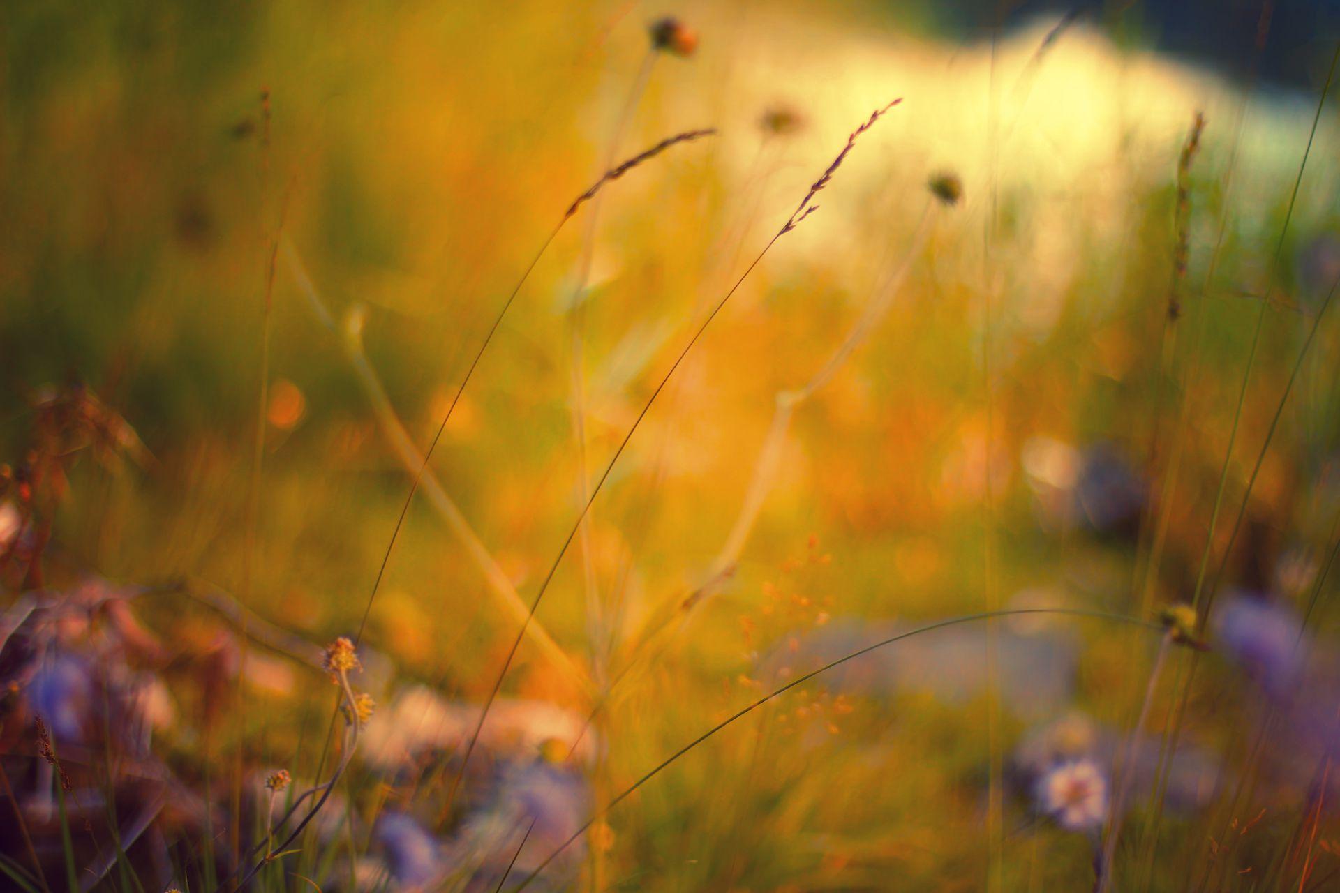 1920x1280 Best Free Autumn Wallpaper