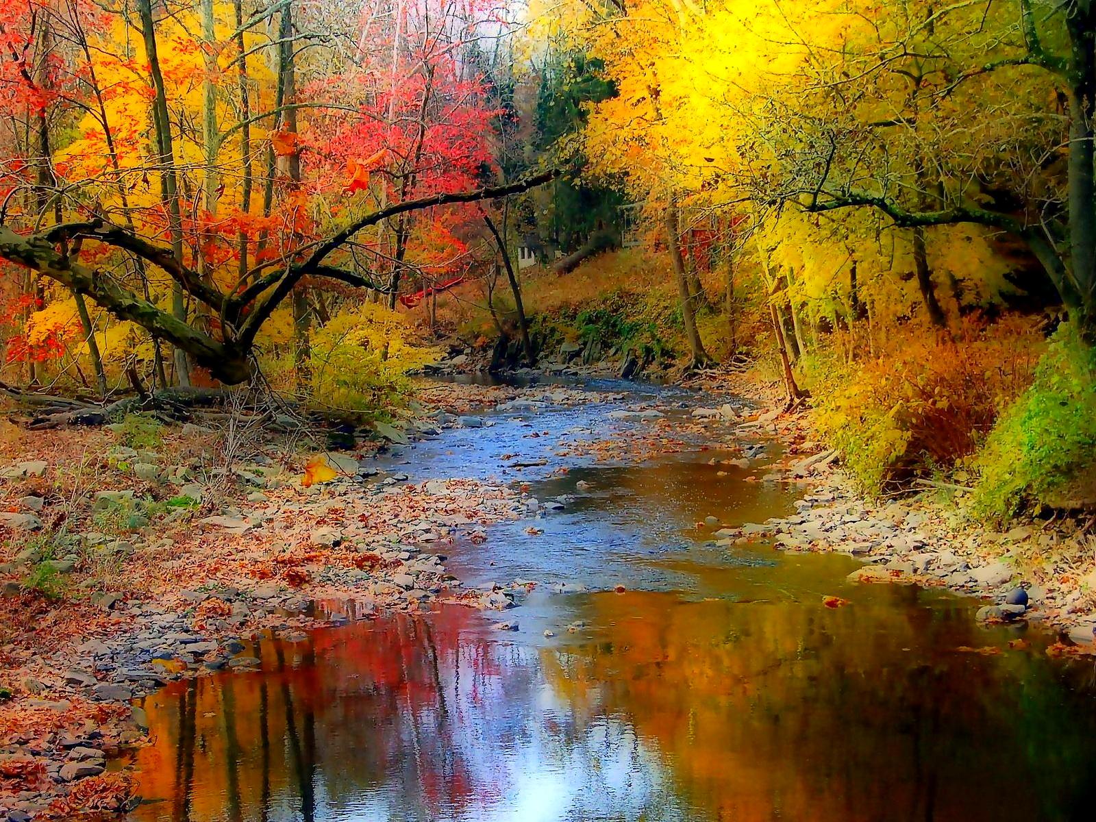 1600x1200 Fall HD Wallpaper HD Wallpaper