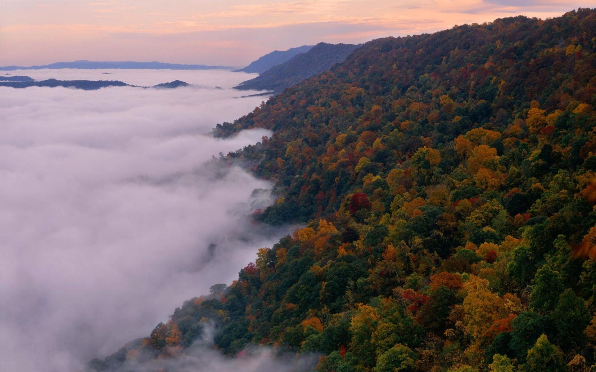 1920x1200 Autumn Dream Foggy wallpaper. Autumn Dream Foggy
