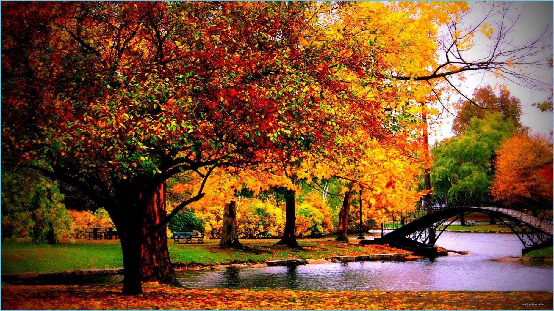 1862x1047 Autumn Desktop Wallpaper HD