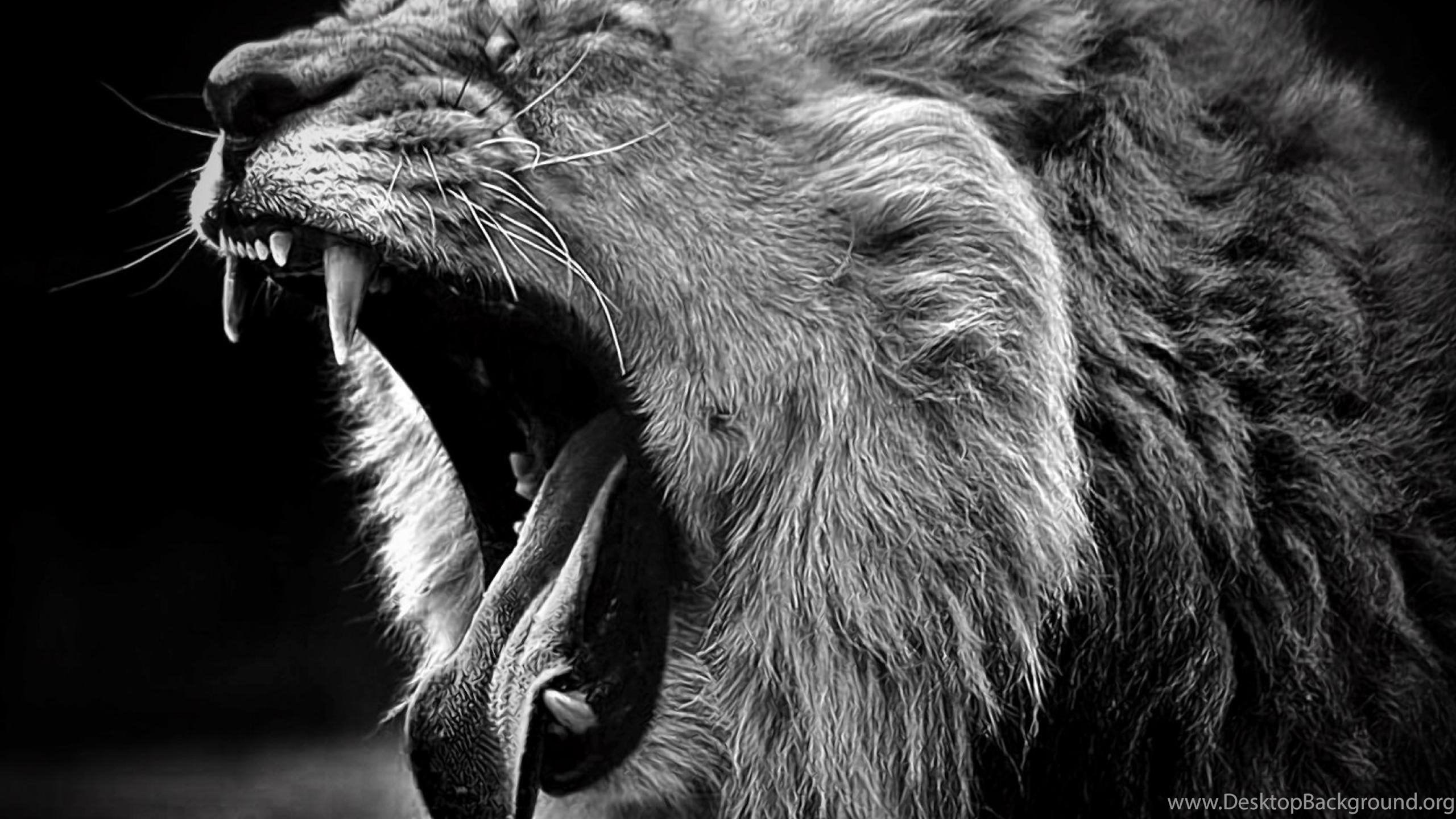2560x1440 Black White Lion Background Image Id: 1677 7HDWallpaper Desktop Background