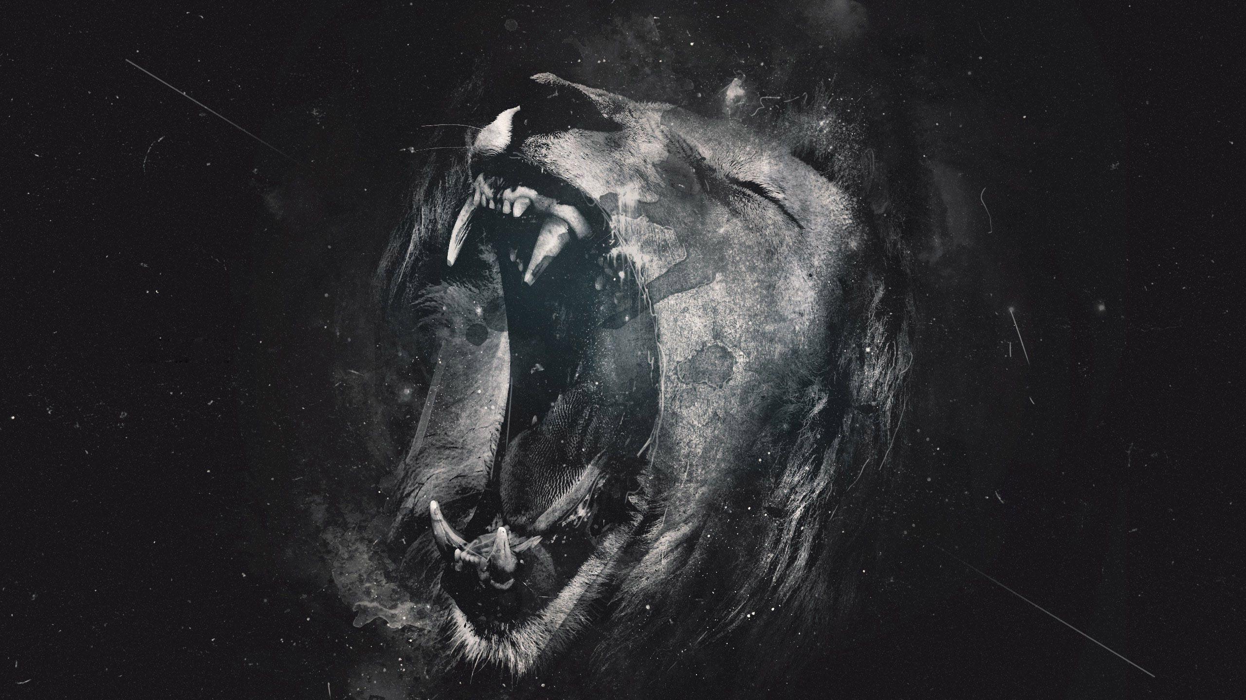 2560x1440 Cool Lion Wallpaper