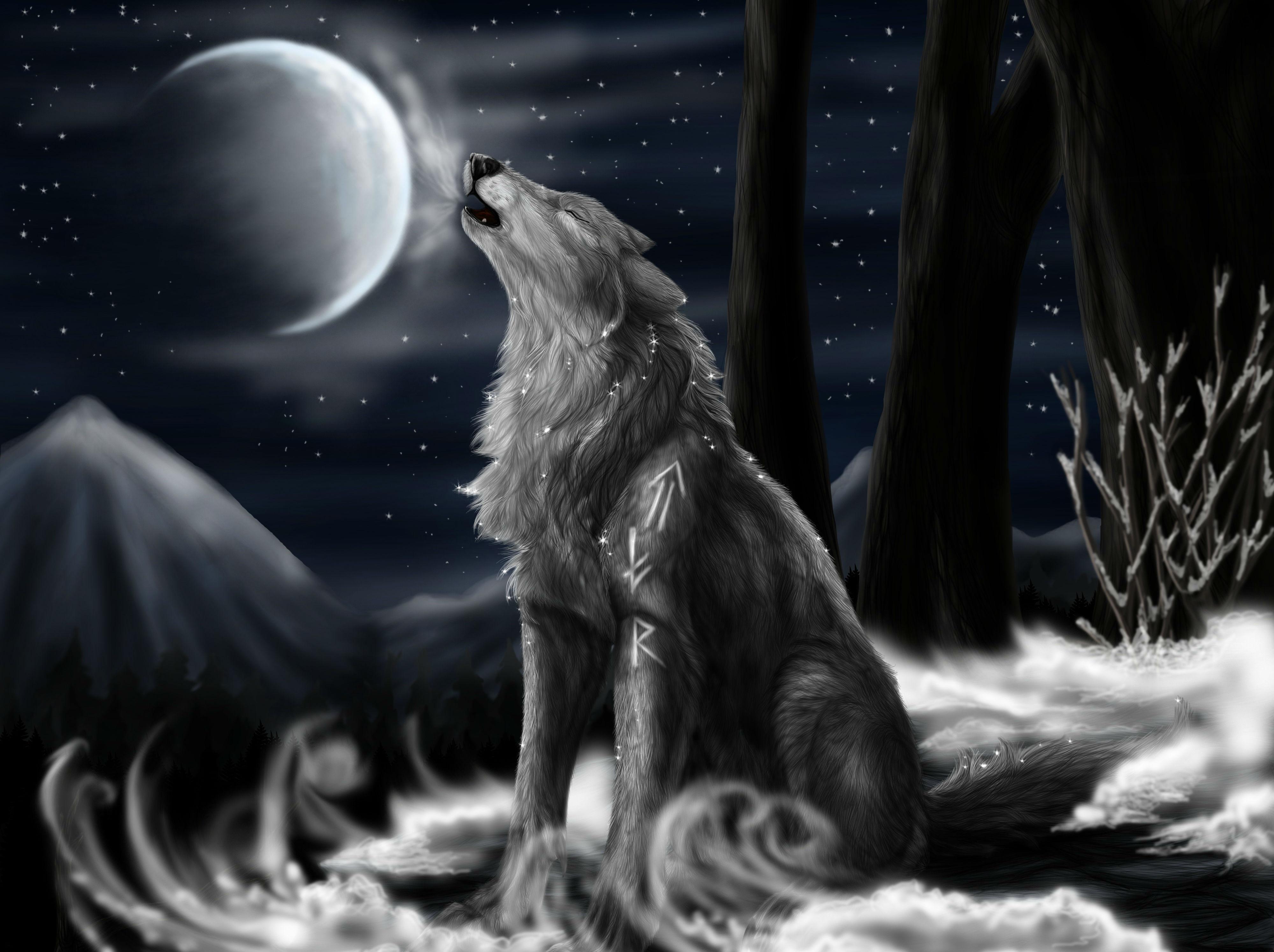 4000x2990 Background For A Wolf Drawing