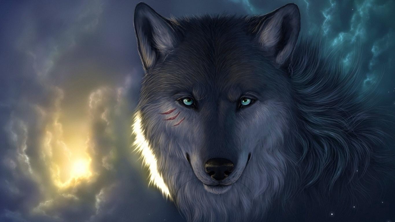 1366x768 Wolf wallpaper and image, picture, photo
