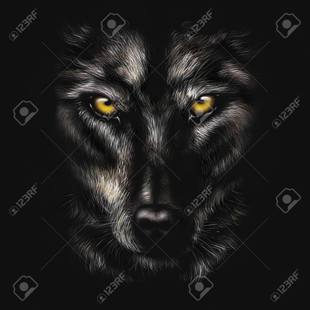 1300x1300 Free download Hand drawing Portrait Of A Black Wolf On A Black Background Stock [1300x1300] for your Desktop, Mobile & Tablet. Explore Background Wolf. Wallpaper Wolf, Wolf Wallpaper, Wallpaper Wolf