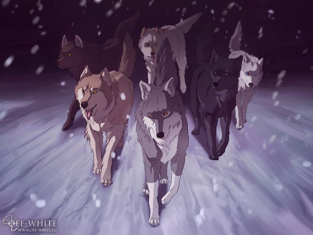 1024x768 Off White Wallpaper I. Wolf Spirit Animal, Anime Wolf Drawing, Anime Wolf