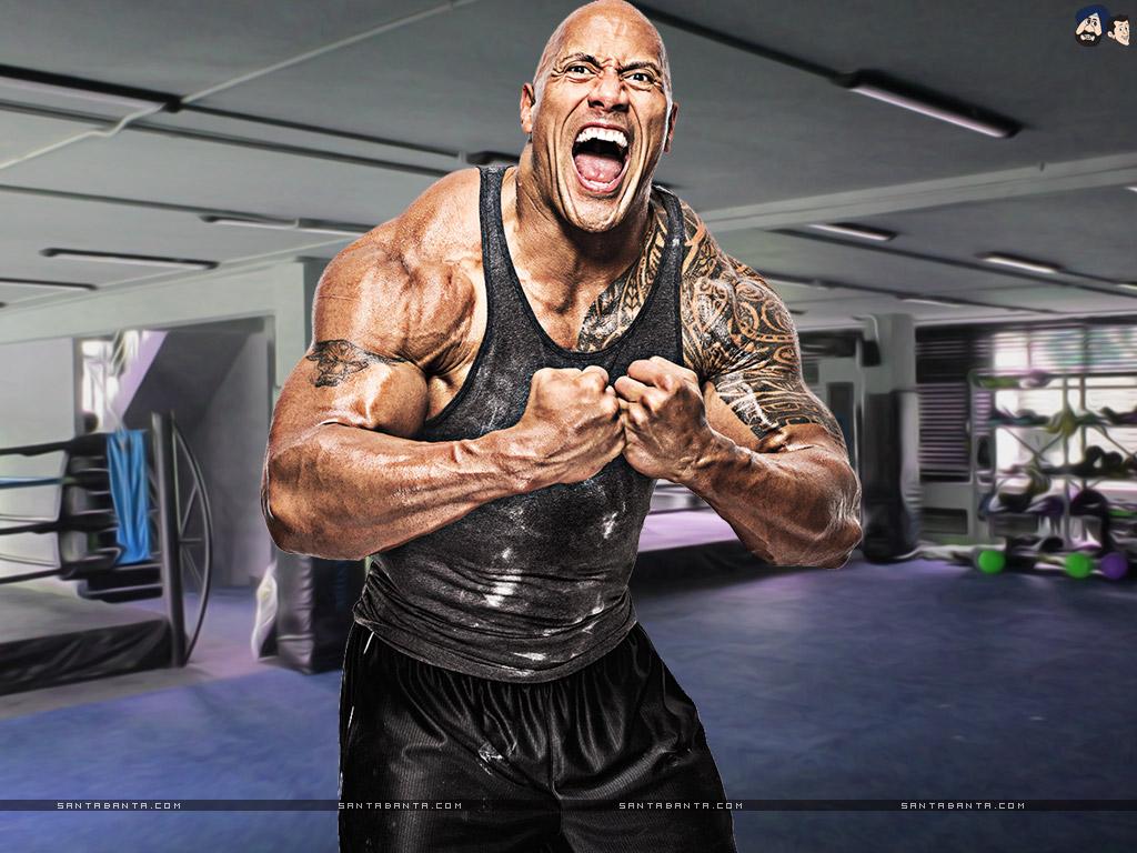 1024x768 Dwayne Johnson Johnson HD Bodybuilding