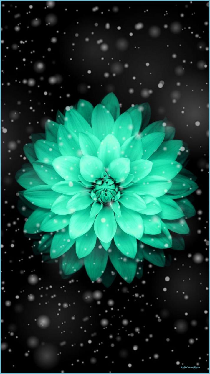 713x1268 Wallpaper Of Beautiful Teal Flower