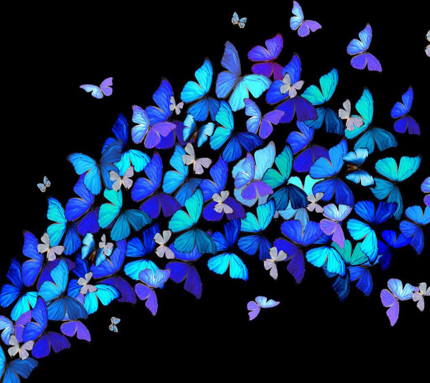 Бабочек легкая стая. Много бабочек. Разноцветные бабочки. Синяя бабочка. Много разноцветных бабочек.