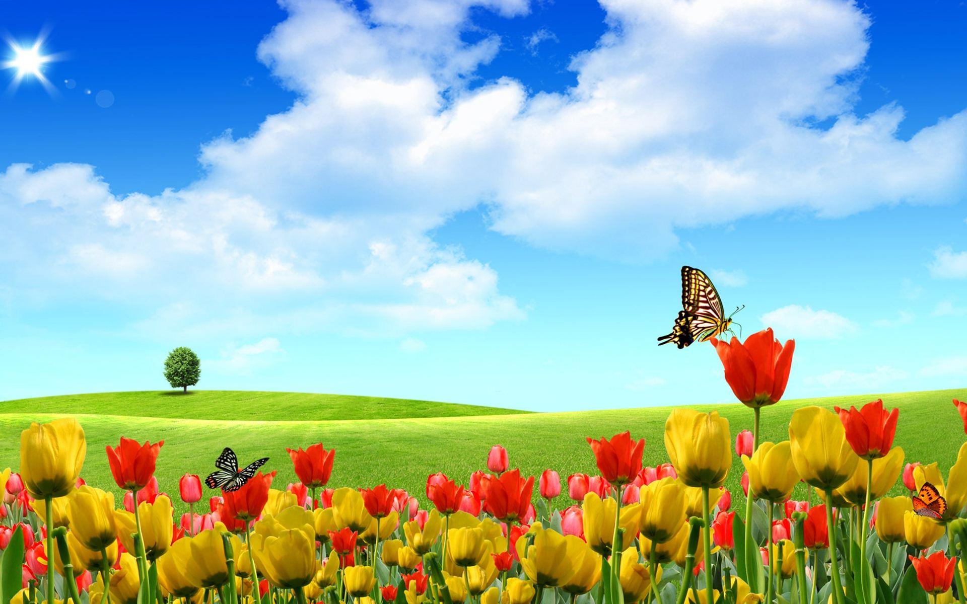 Full Screen Flower Garden Nature 3D HD wallpaper | Pxfuel