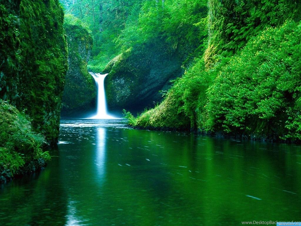 1024x768 Nature HD Wallpaper Realistic Background High Quality Bliz Pix Desktop Background