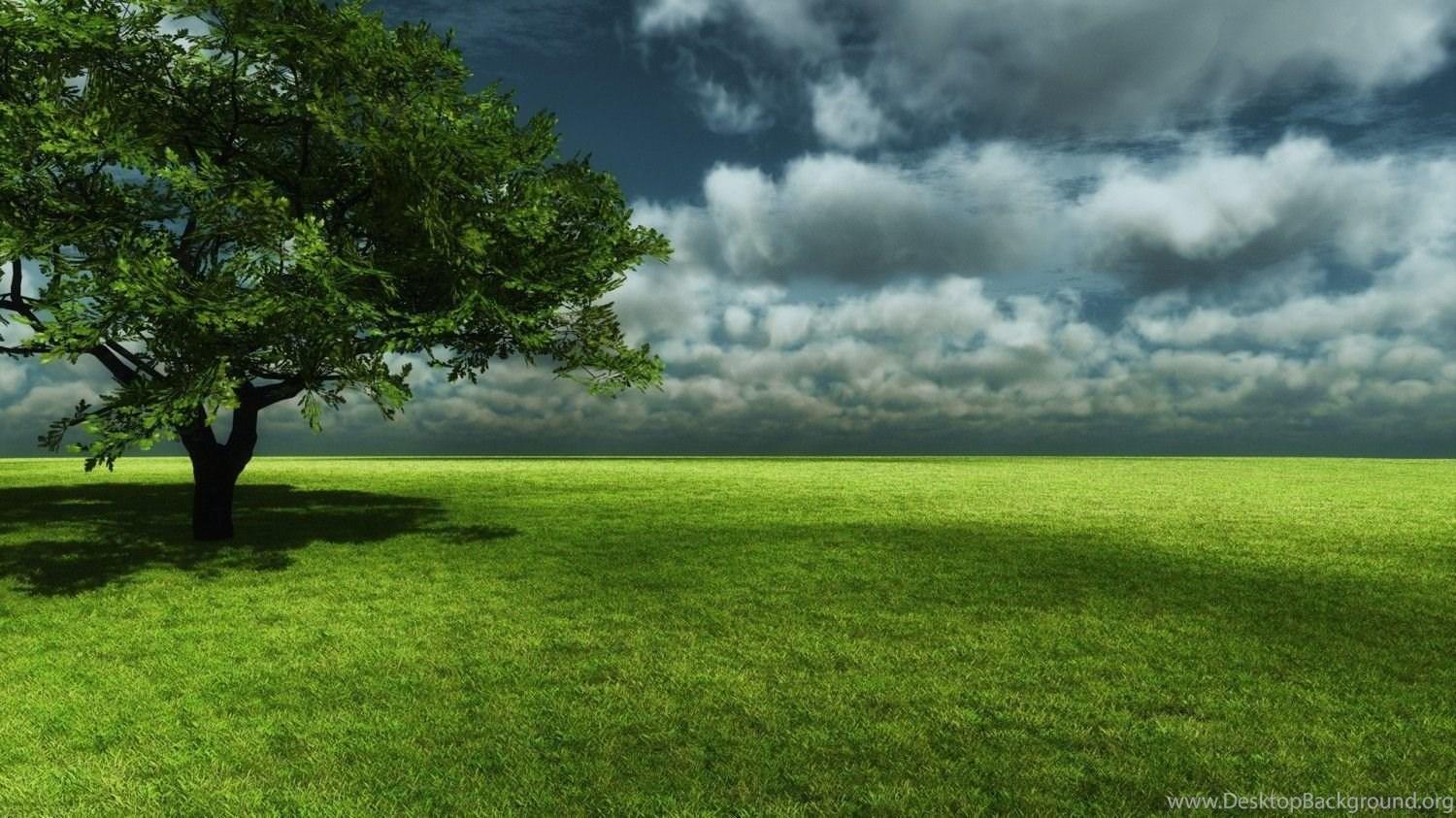 1500x843 Nature HD Wallpaper Realistic Background High Quality Bliz Pix Desktop Background