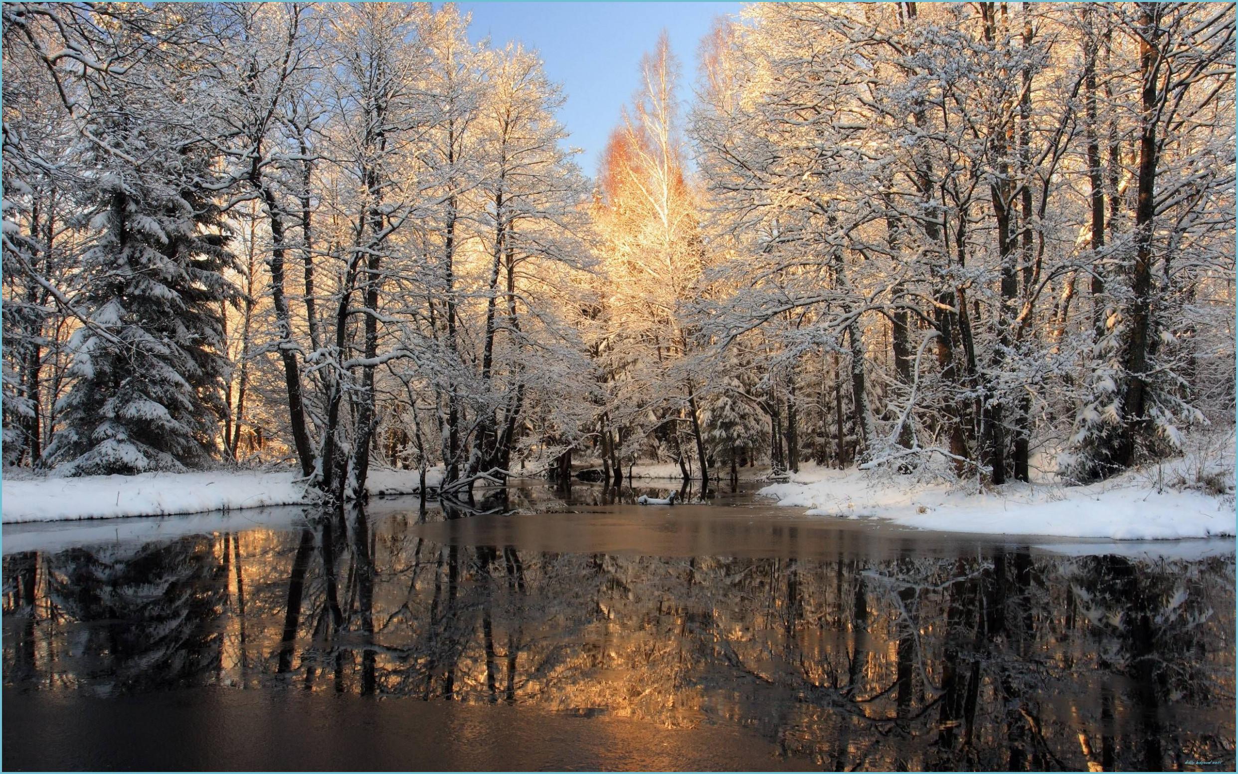 2483x1552 Winter Nature Wallpaper Background With HD Wallpaper Background Winter