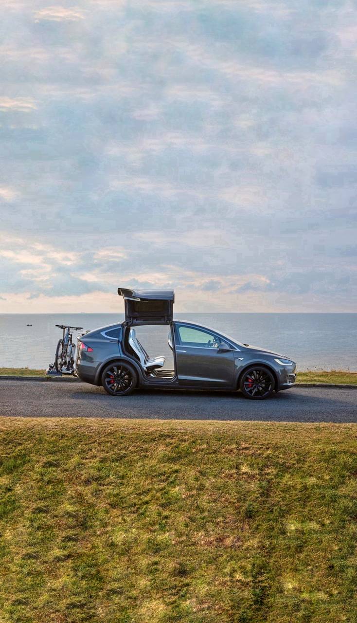734x1280 Model X Wallpaper