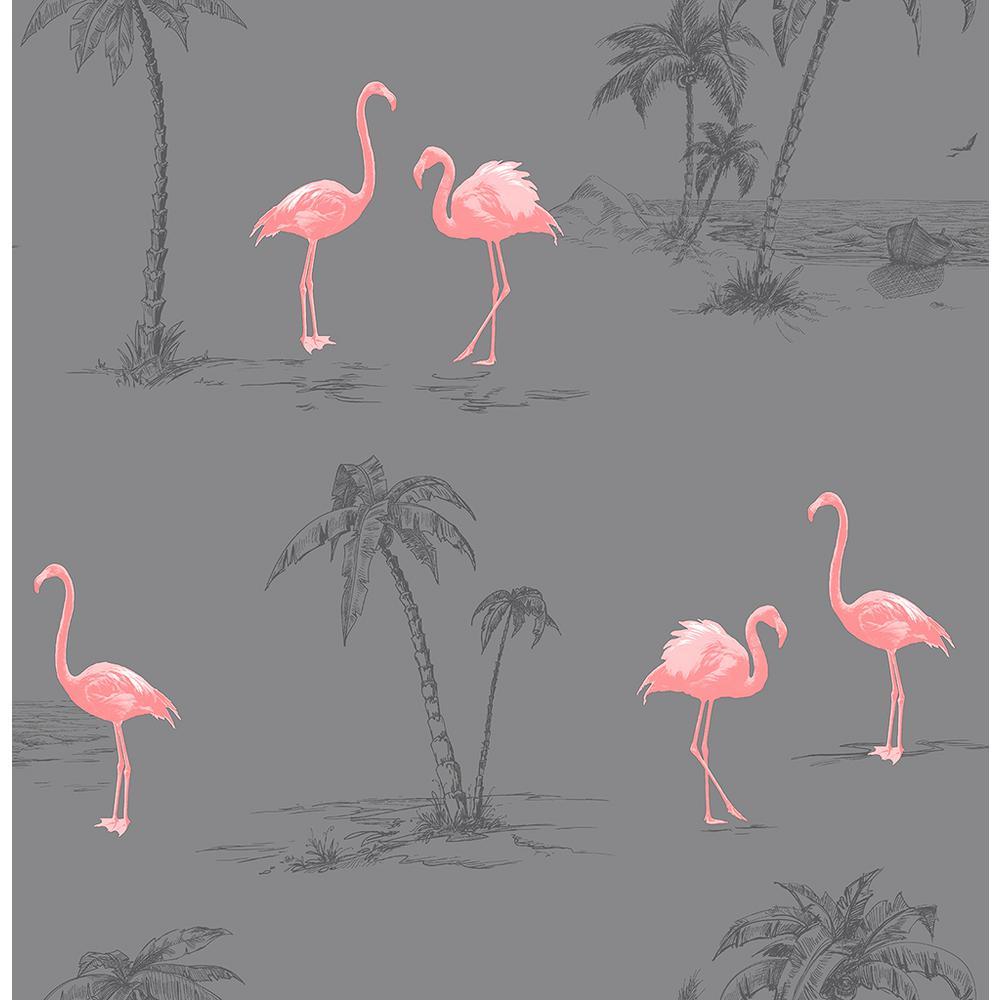 1000x1000 Brewster Sanibel Dark Grey Flamingo Dark Grey Paper Strippable Roll (Covers 56.4 Sq. Ft.) 2704 41239SW Home Depot