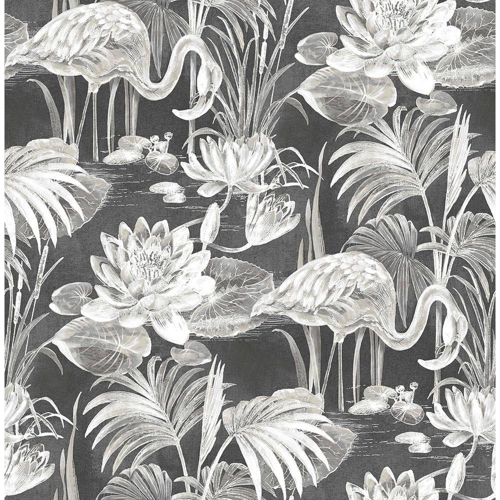 1000x1000 Brewster Miltonia Black Flamingo Black Wallpaper Sample 2766 24621SAM Home Depot