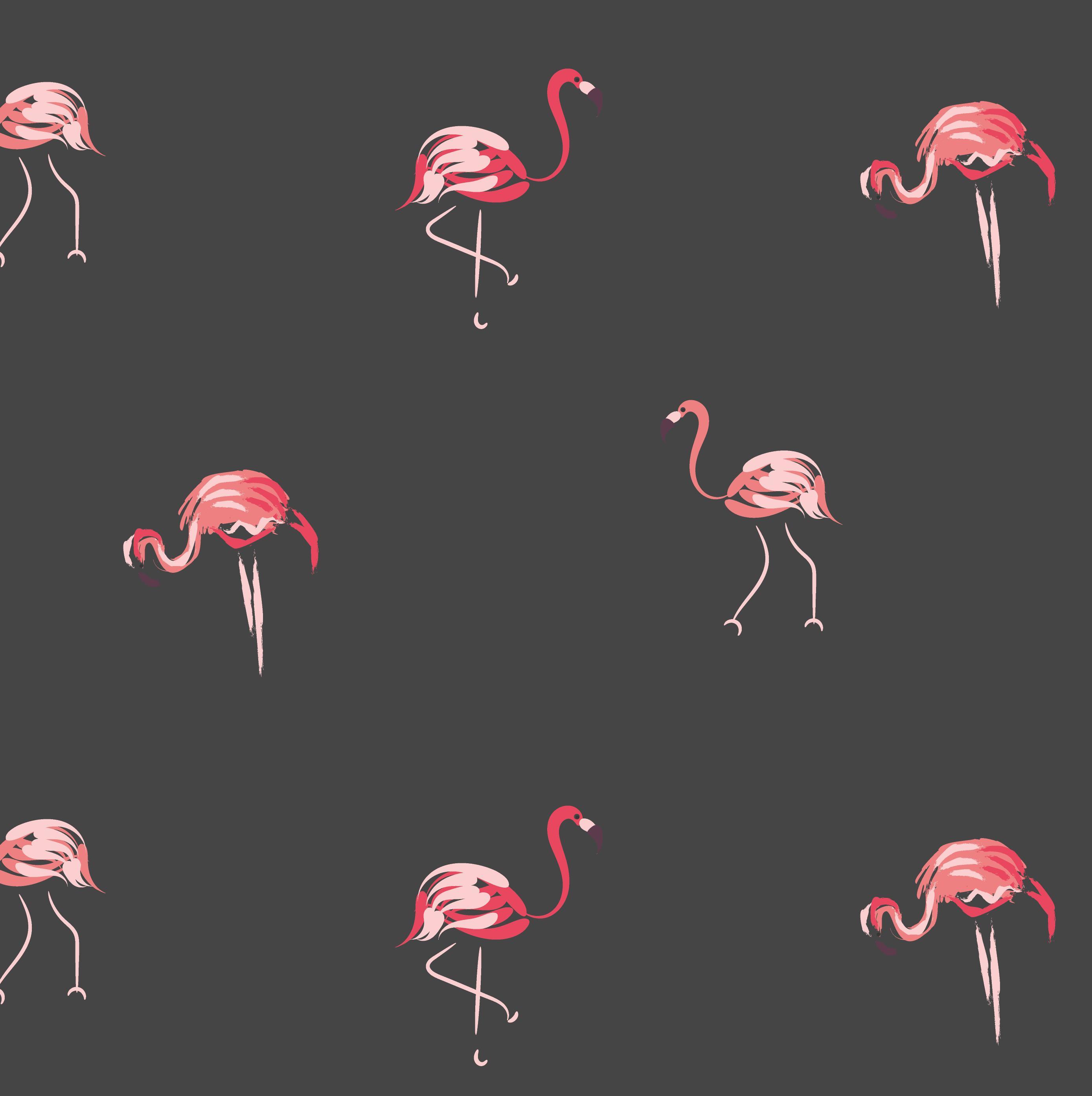 2778x2788 Flamingo Peel And Stick Wallpaper by The Wallberry in Wallpaper