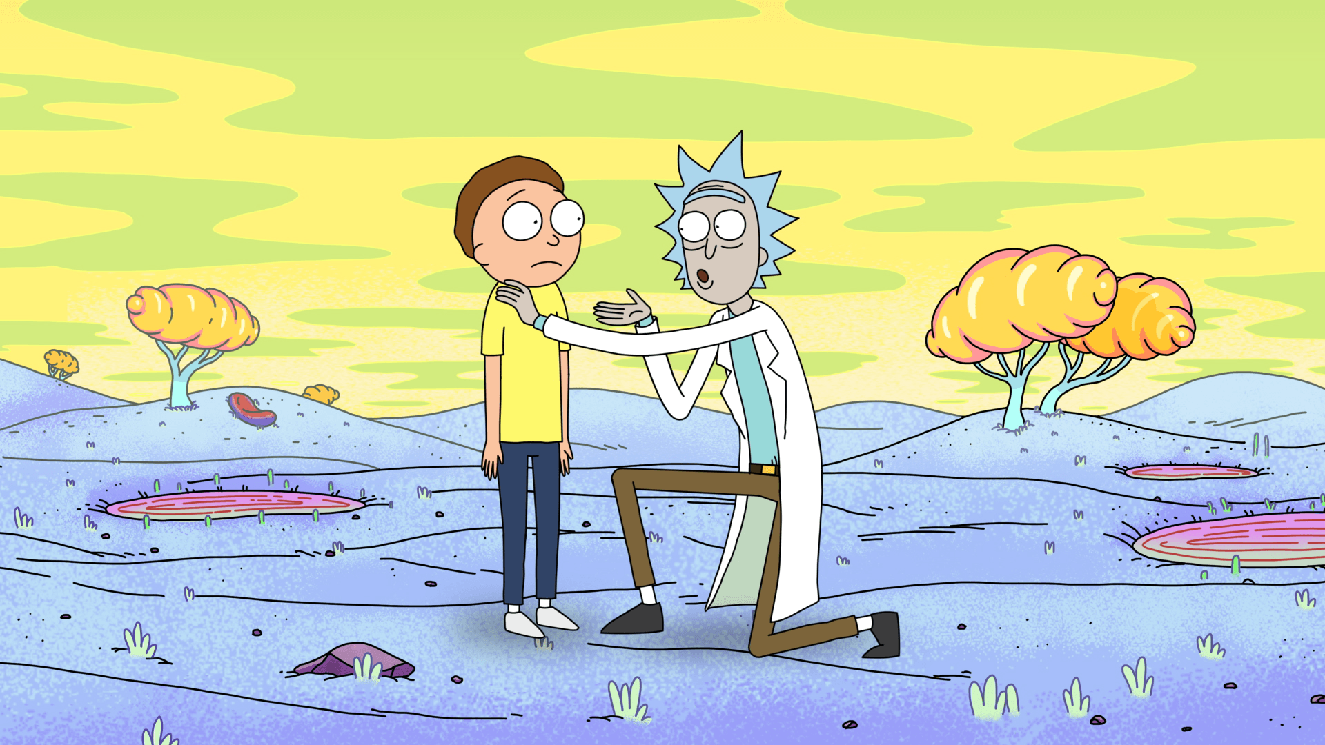 1920x1080 Rick and Morty Wallpaper 5 Galaxy Wallpaper