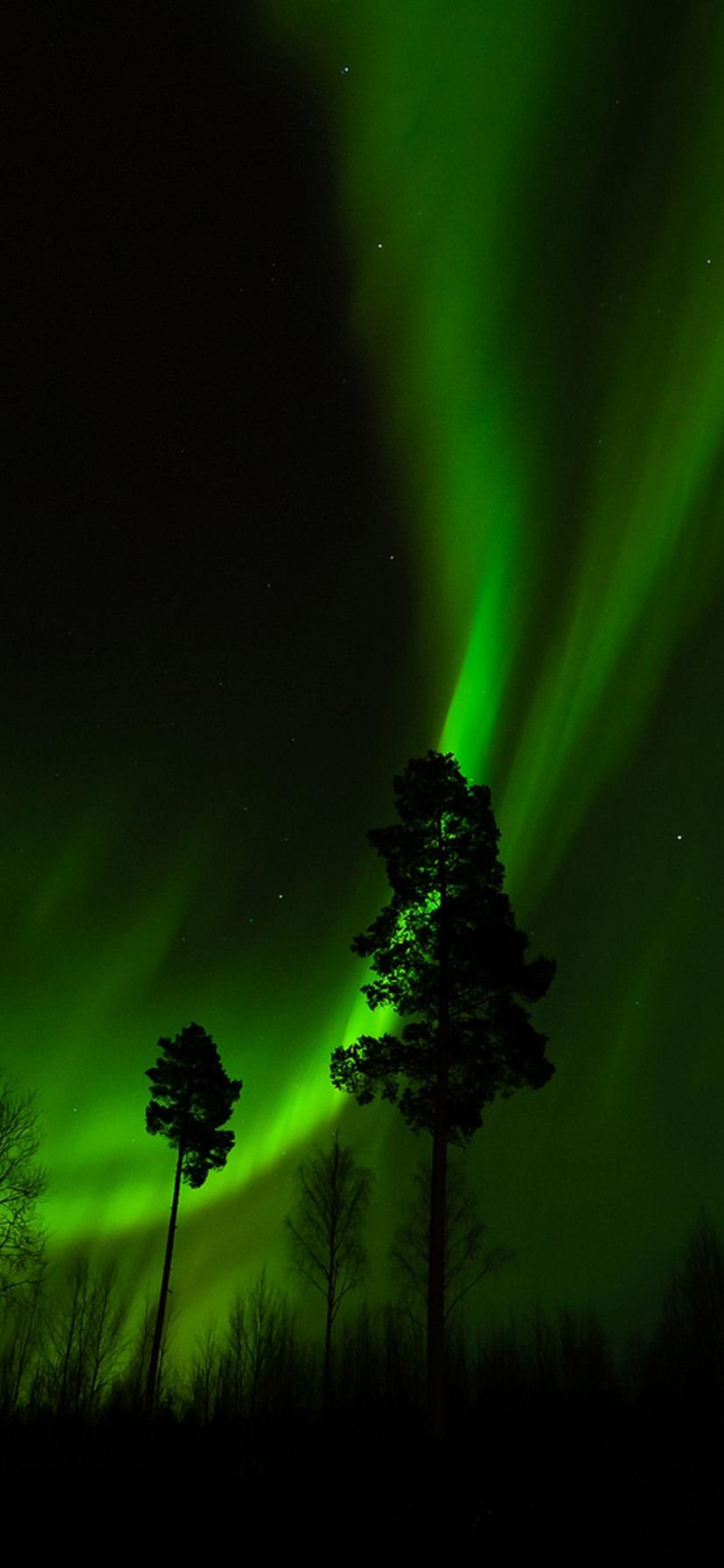 Green iPhone XR Wallpapers Top Free Green iPhone XR Backgrounds