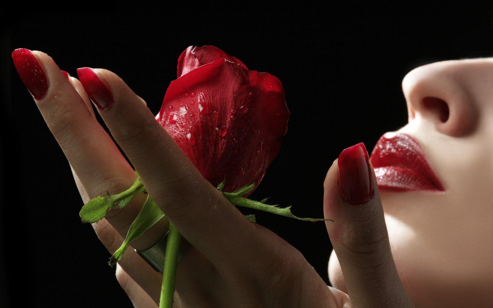 1600x1000 Free download Girl and Rose Full HD Wallpaper HD Wallpaper [1600x1000] for your Desktop, Mobile & Tablet. Explore Roses HD Wallpaper. Derrick Rose HD Wallpaper, Rose Computer Wallpaper, Beautiful