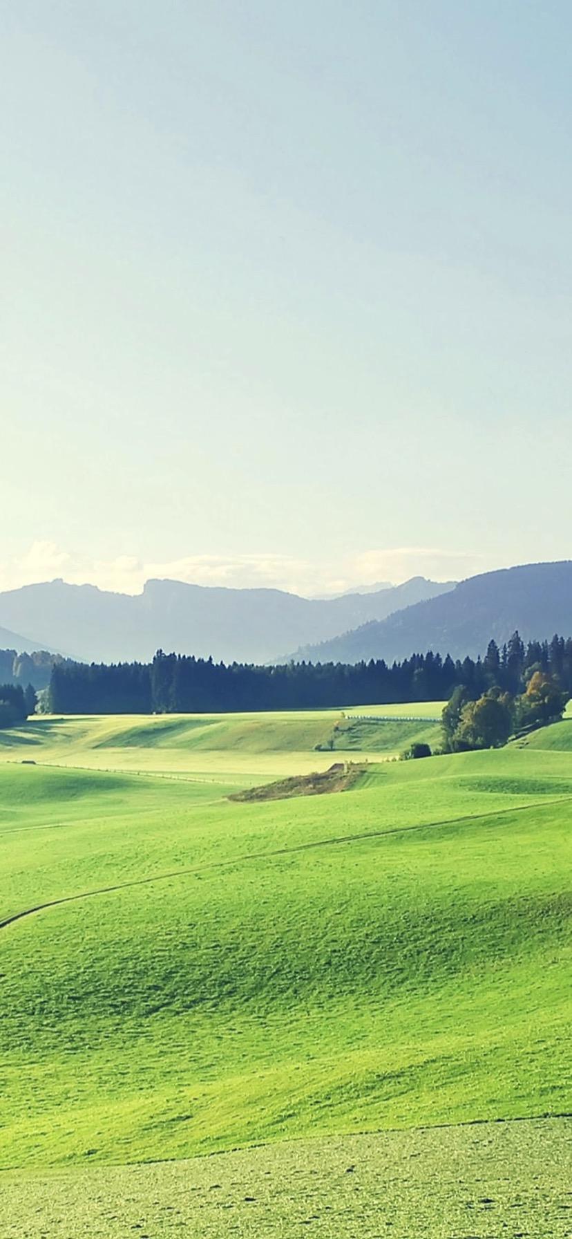 Green iPhone XR Wallpapers Top Free Green iPhone XR Backgrounds