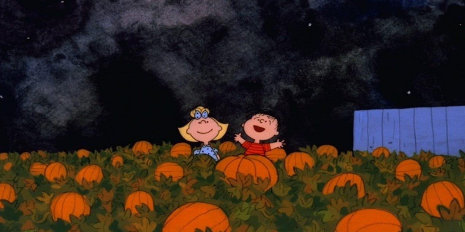 1593x796 Where to stream the Charlie Brown Great Pumpkin special