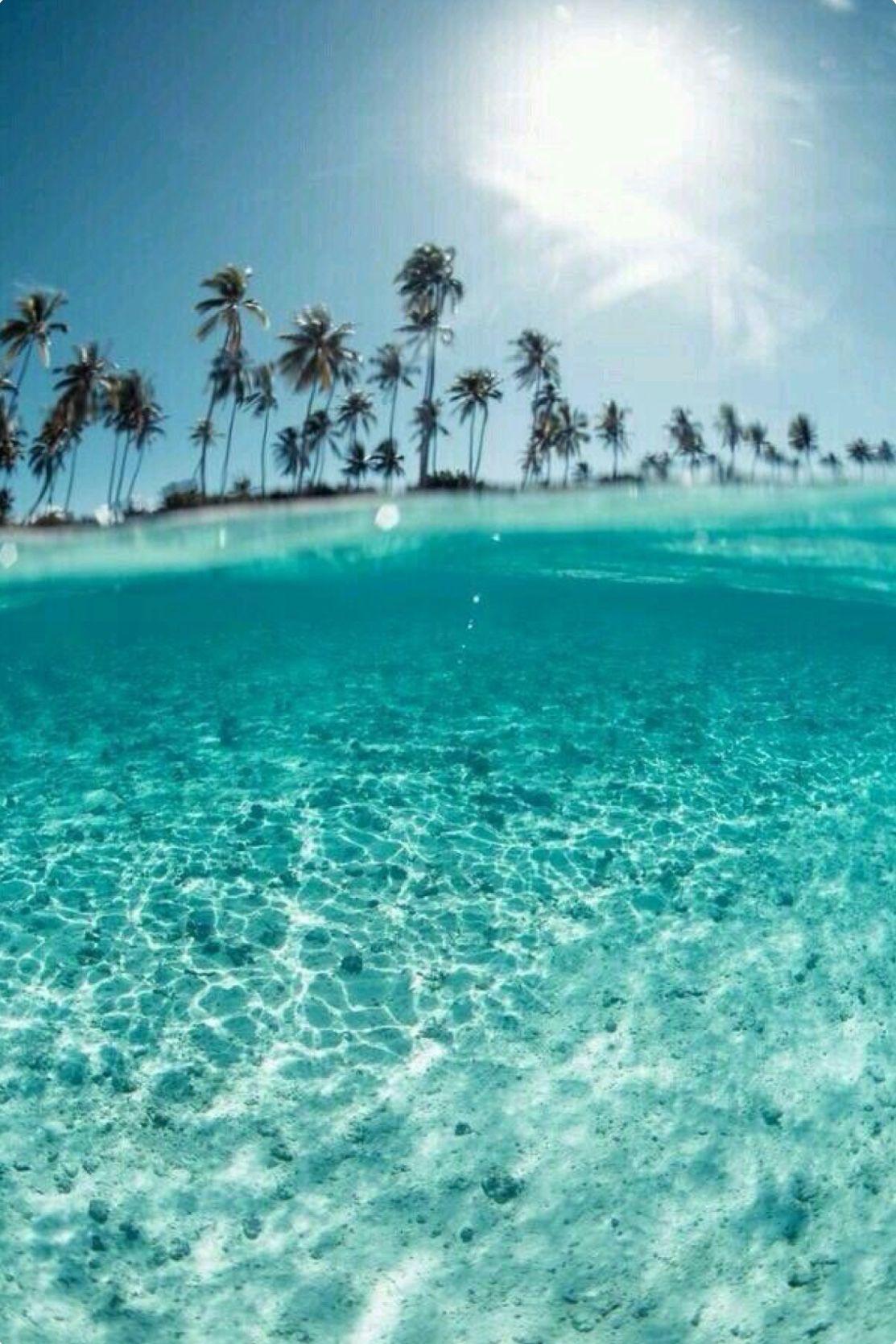 1113x1669 Peaceful #mood #heaven #ocean #palmtrees #beachday #beachlife #beachstyle #swimwear #onlineshopping #shopping. Beach tumblr, Summer wallpaper, Nature photography