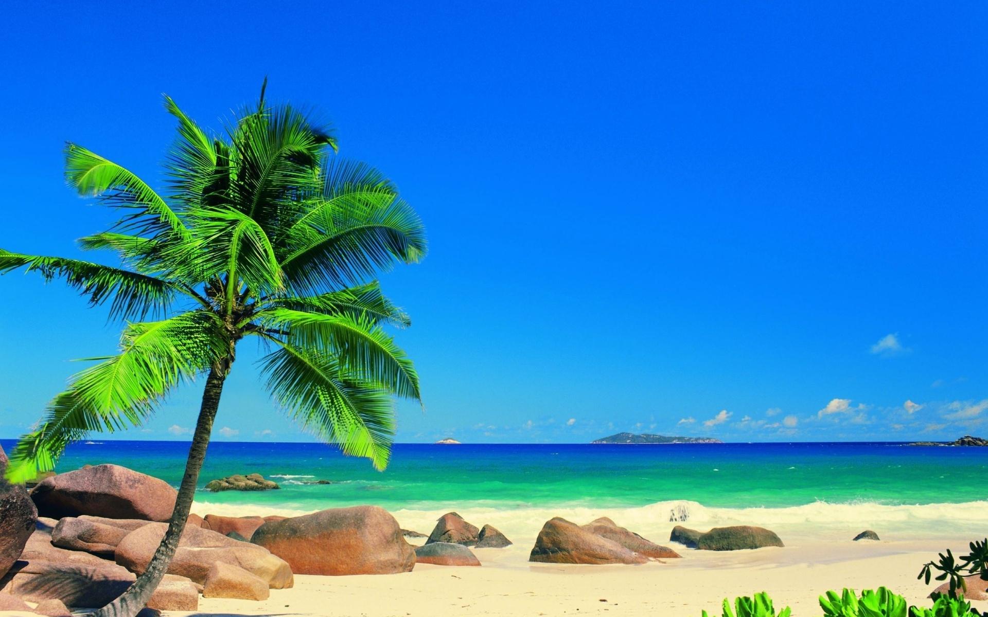1920x1200 Free download sand landscapes ocean sea palm trees sky tropical wallpaper background [1920x1200] for your Desktop, Mobile & Tablet. Explore Beach Palm Trees Wallpaper. Palm Tree Wallpaper, Palm Tree
