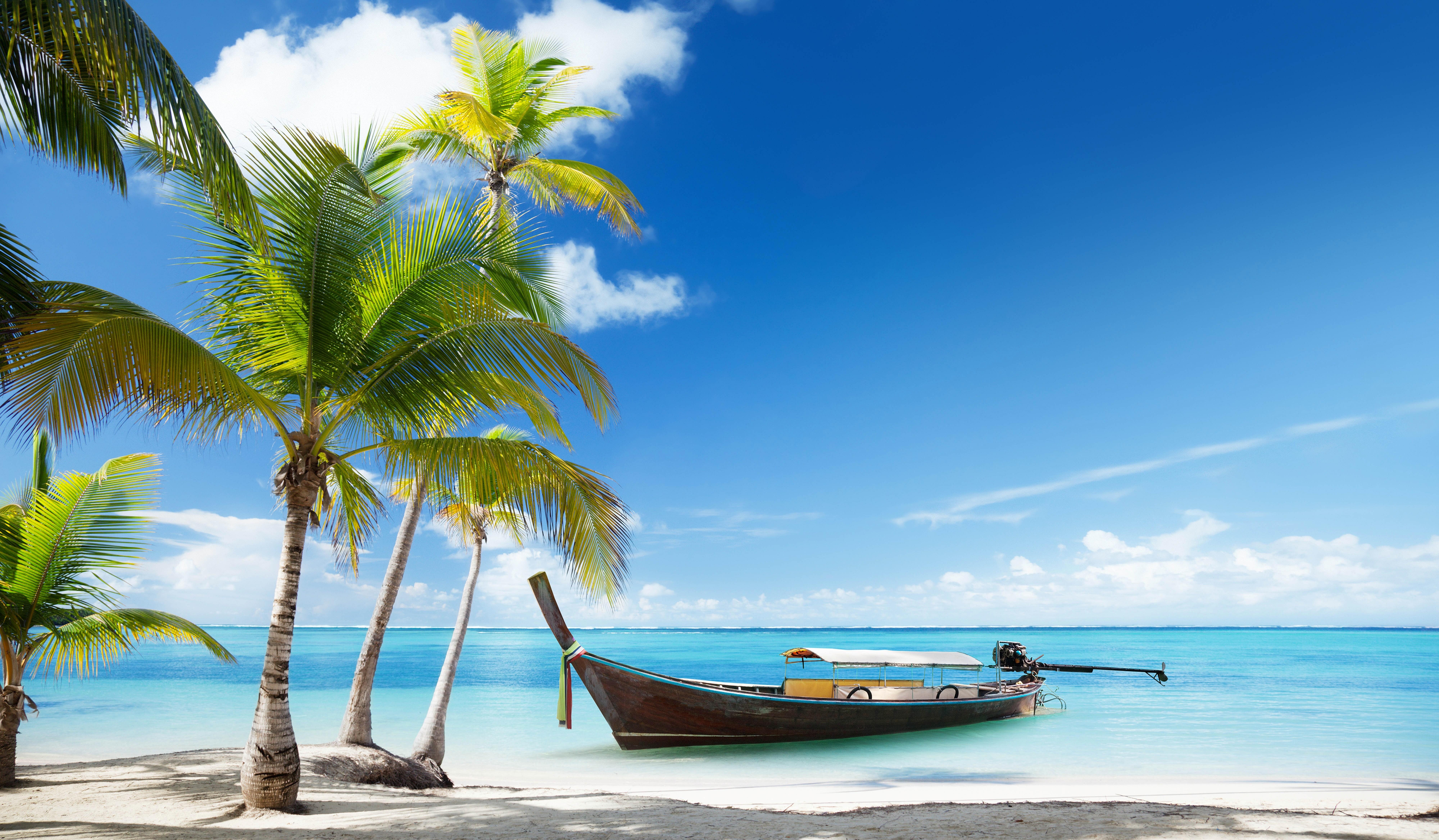 8000x4672 #landscape, #tropical, #beach, #palm trees wallpaper. Mocah HD Wallpaper