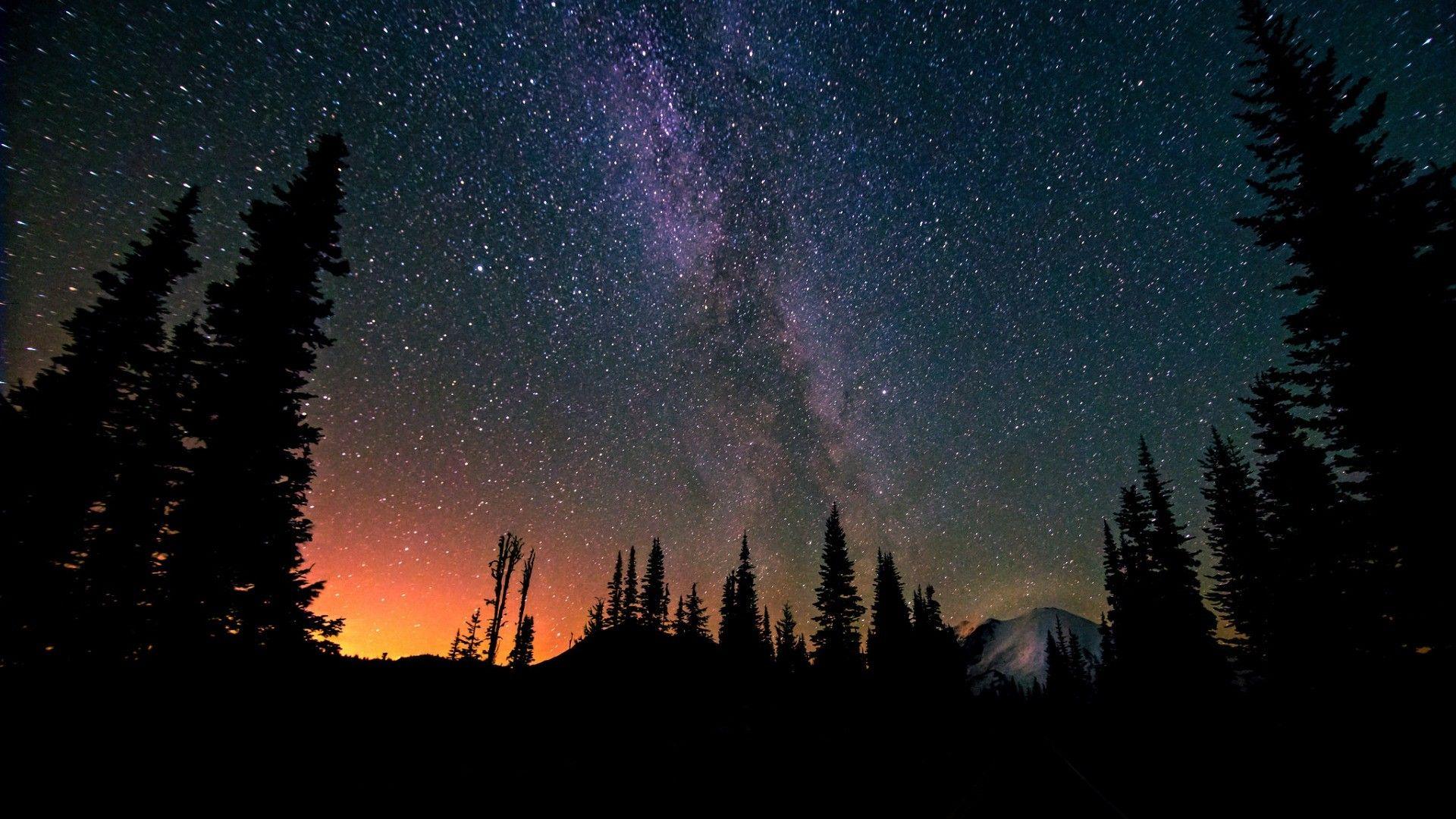 1920x1080 Forest Stars Wallpaper, HD Forest Stars Background