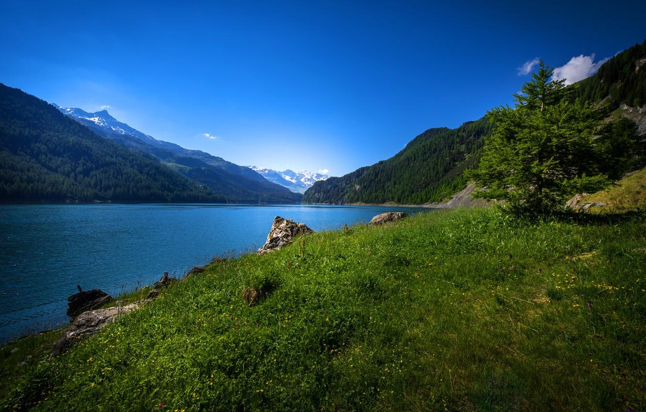 1332x850 Wallpaper greens, forest, the sky, grass, trees, mountains, lake, stones, Switzerland, Lake Marmorera image for desktop, section пейзажи