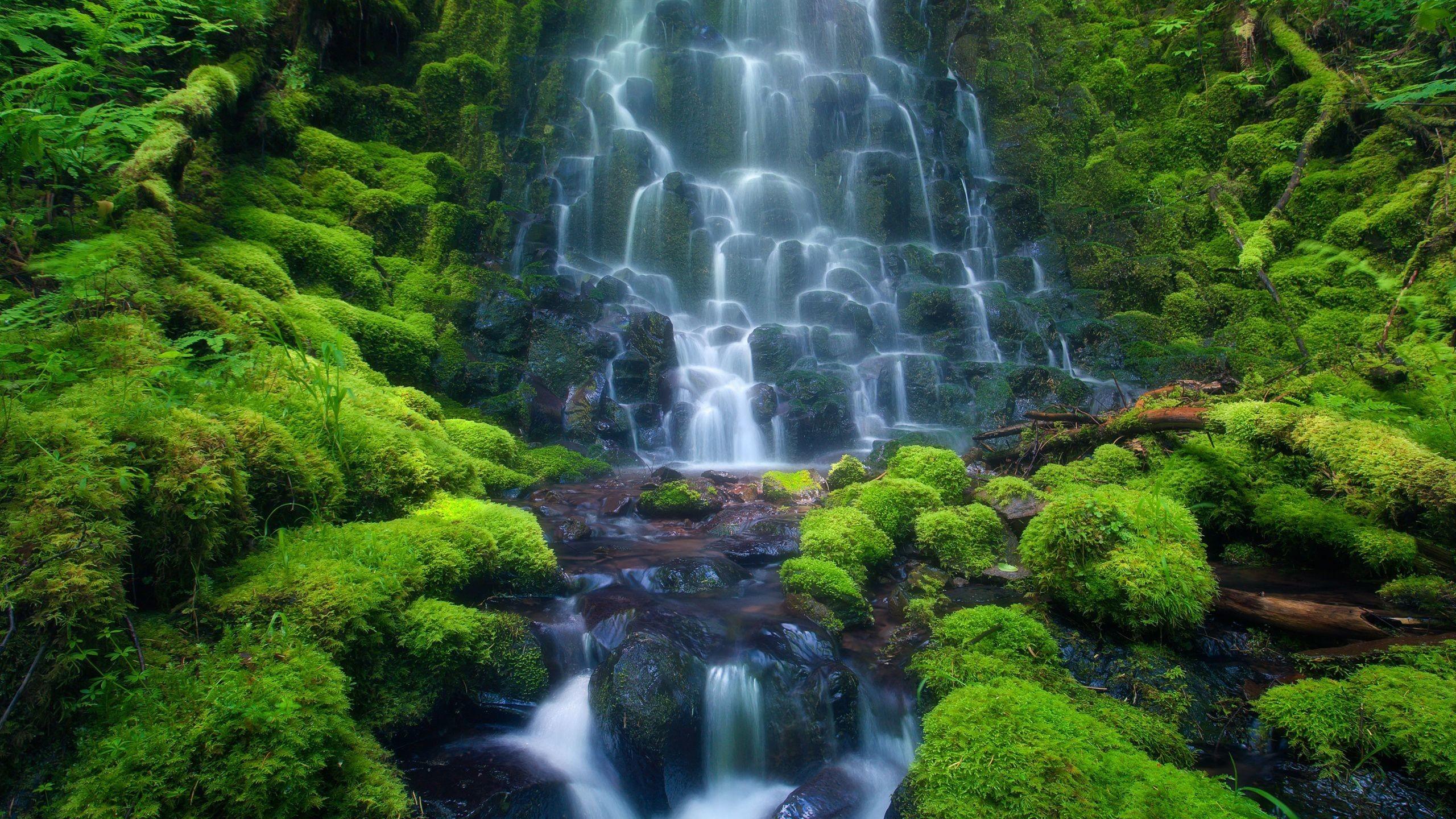 2560x1440 Animated Waterfall Wallpaper with Sound