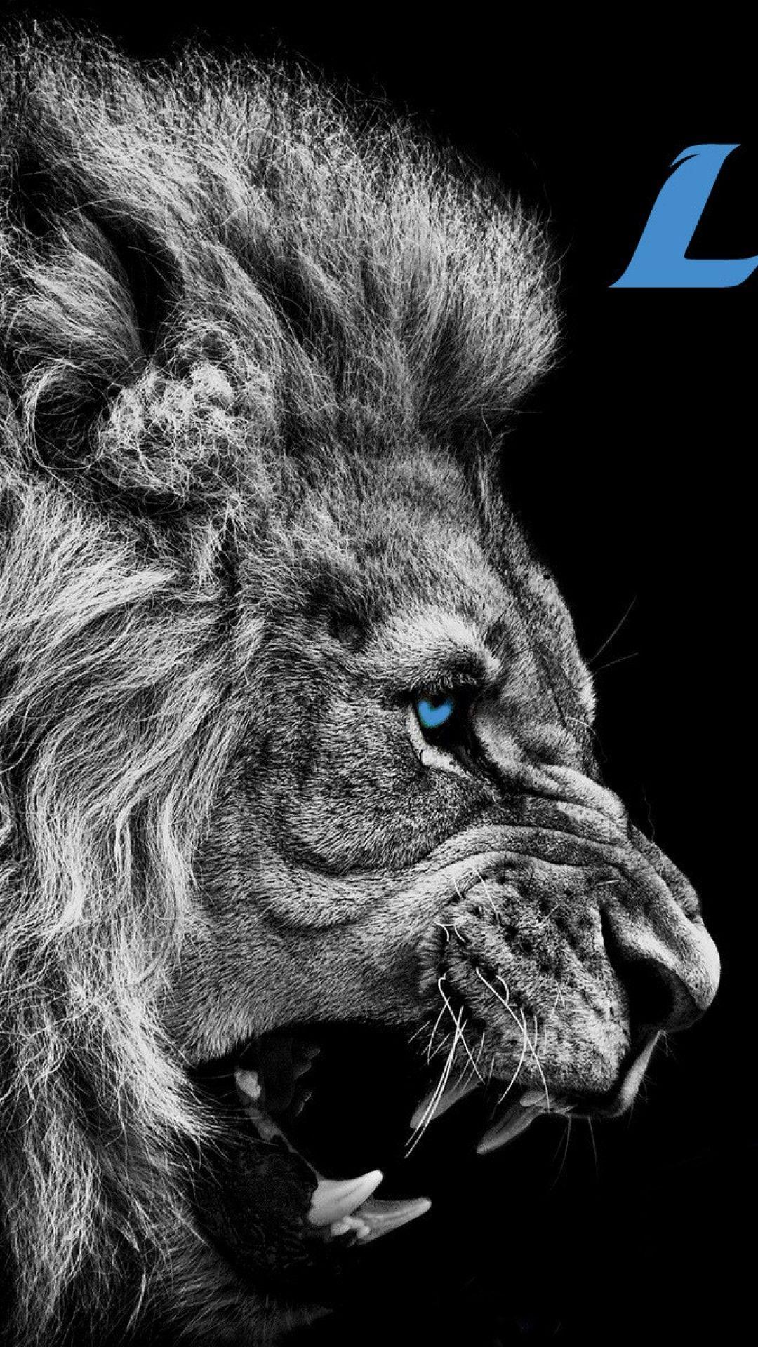 1080x1920 Detroit Lions iPhone 7 Plus Wallpaper Download