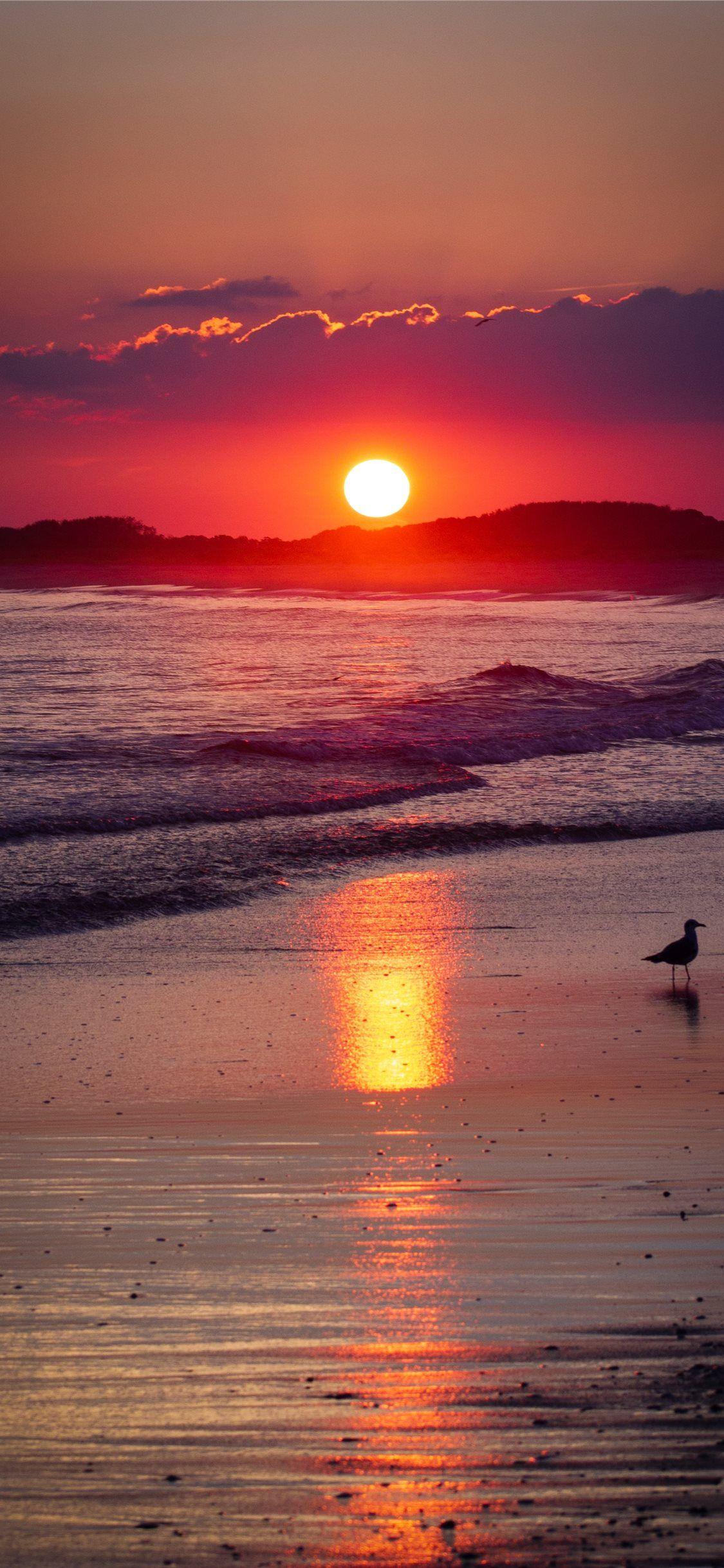 1125x2436 Cape May Wallpaper, HD Cape May Background