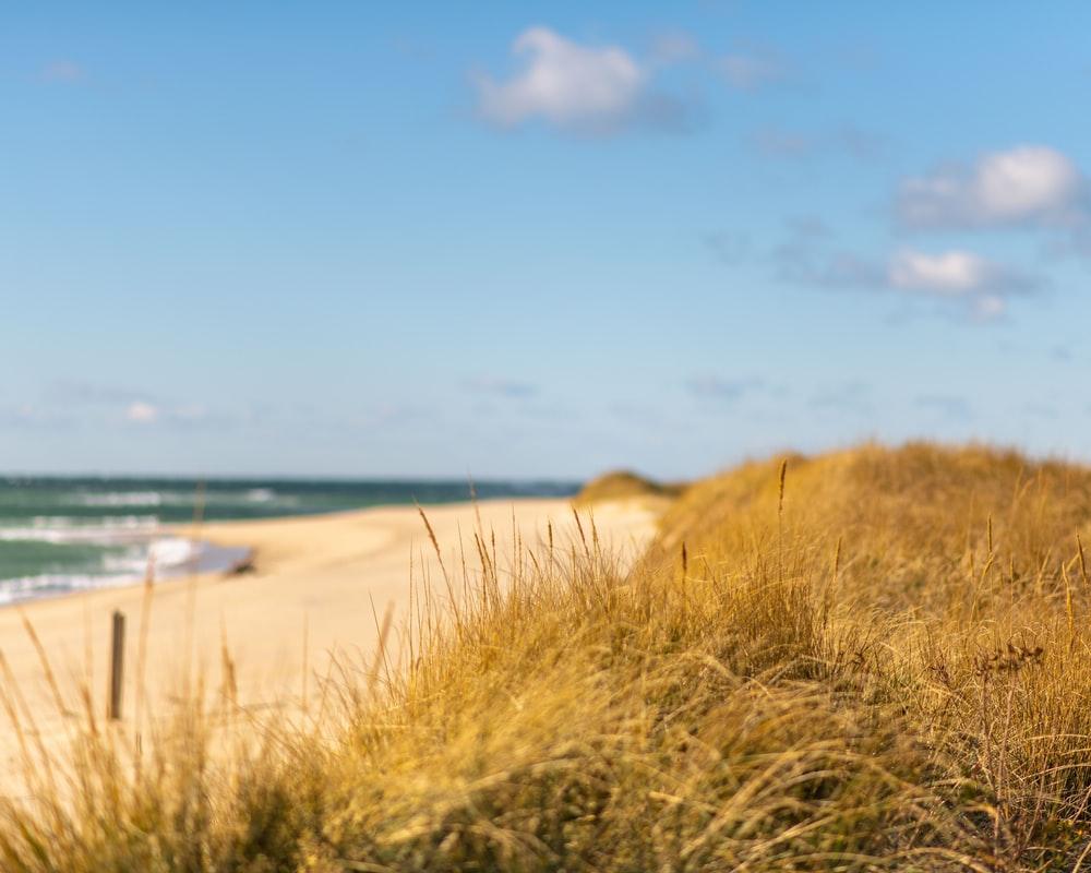1000x800 Cape Cod Picture. Download Free Image