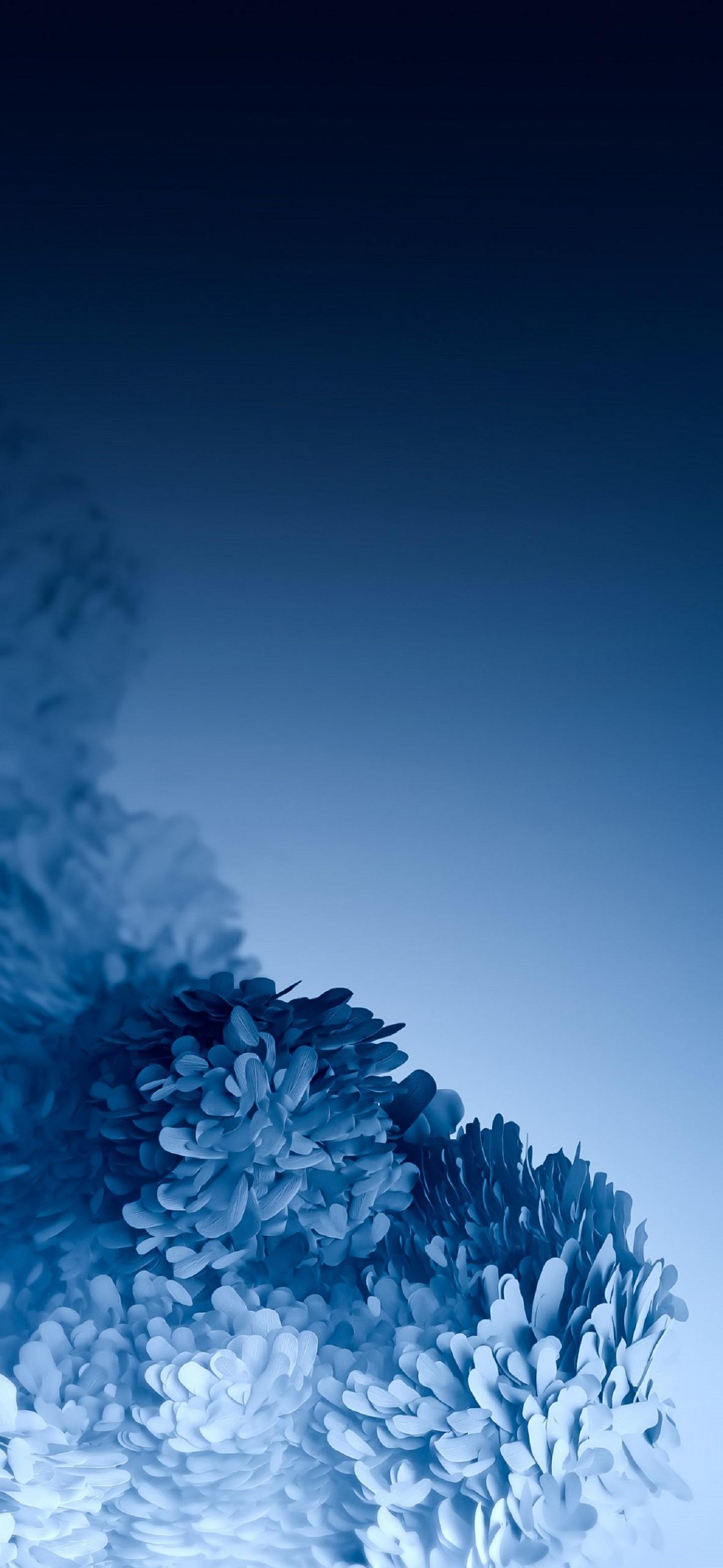 1440x3120 Free download Samsung Galaxy S20 Wallpaper UseWallpaper 11 1440x3120 2190000065 [1440x3120] for your Desktop, Mobile & Tablet. Explore Samsung Galaxy S20 Wallpaper. Samsung Galaxy S Samsung Galaxy S20 Wallpaper
