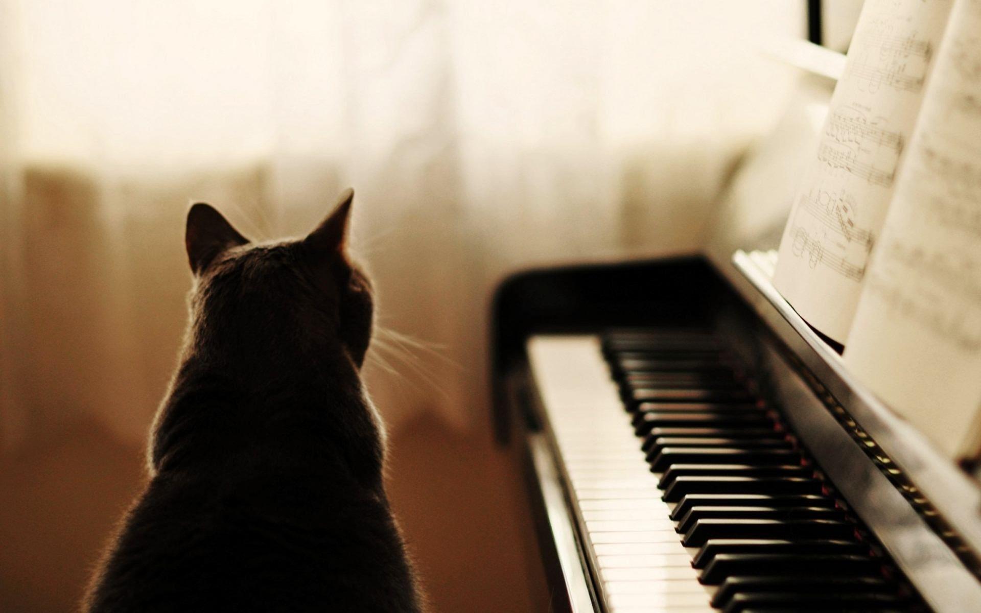 1920x1200 Piano Wallpaper Background c4 Wallpaper